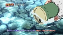 Preview Naruto Shippuden Episode 433 Subtitle Indonesia