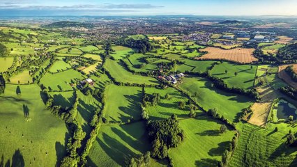 10 Ways to Survive a Zombie Apocalypse