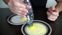 10 Amazing Science Experiments You Can Do With Eggs