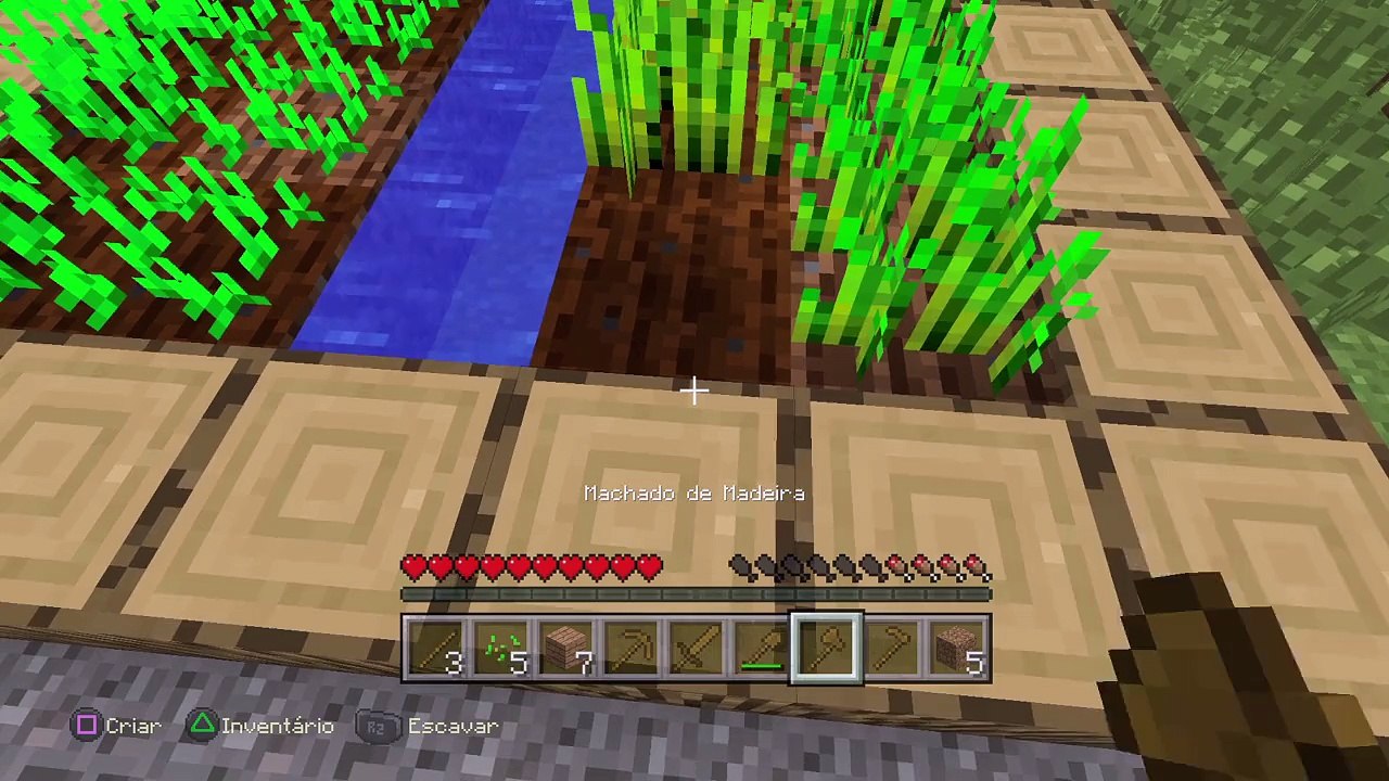 Survival part 1
