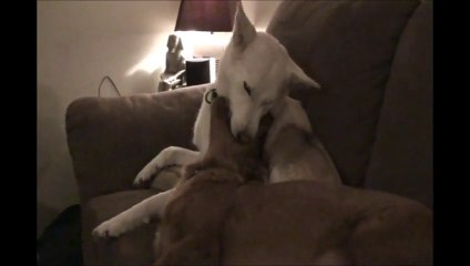 Funniest or Weirdest thing!!??