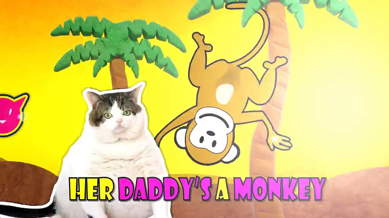 Smokey the Monkey Cat