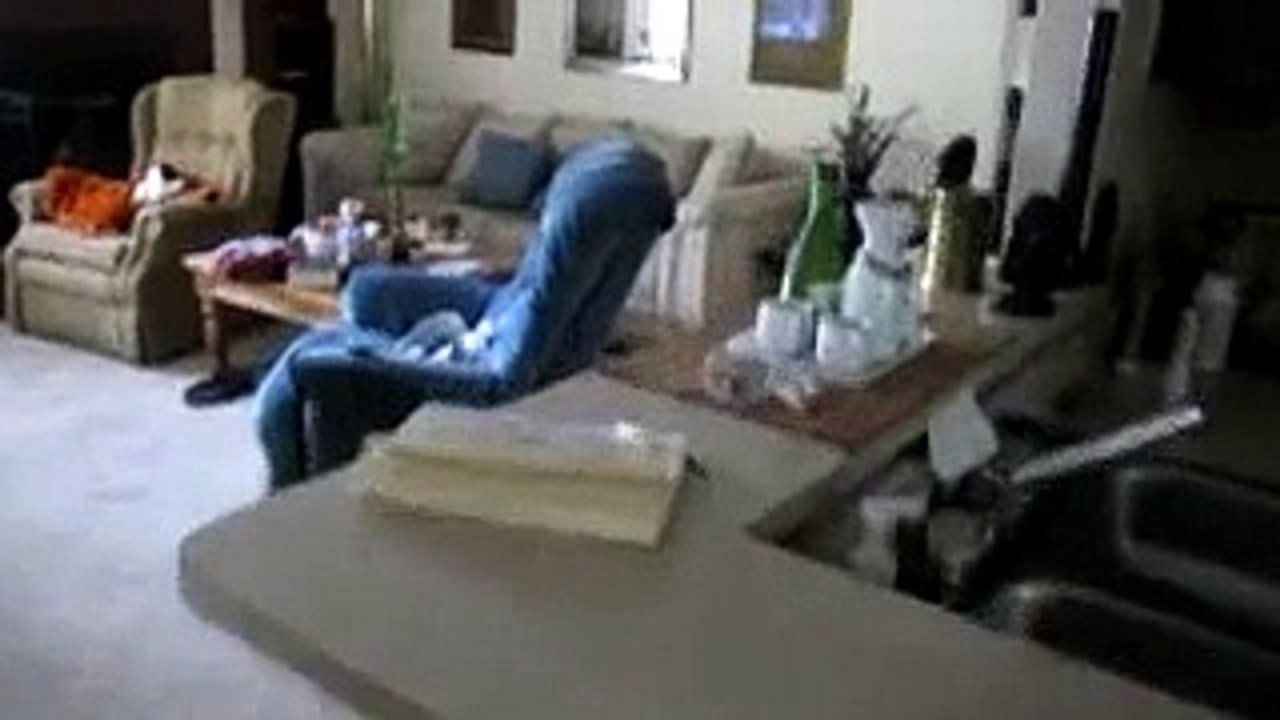 Dog Saying Grace
