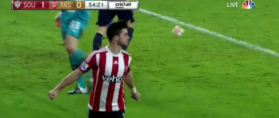 Shane Long Two Goals ~ Southampton vs Arsenal 4-0