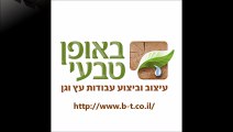 באופן טבעי - פרגולות ודקים