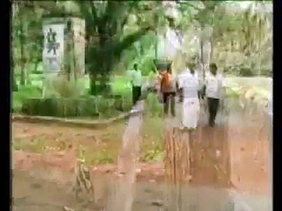 VID-20151125-WA0001