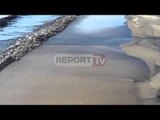Report TV - Dy anije të huaja derdhën naftën në Durrës për të shmangur taksat