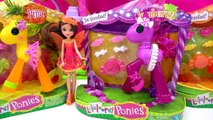 Fruit Scented Lalaloopsy Ponies Toys Review along with Mini Fairy Barbie Doll Cookieswirlc