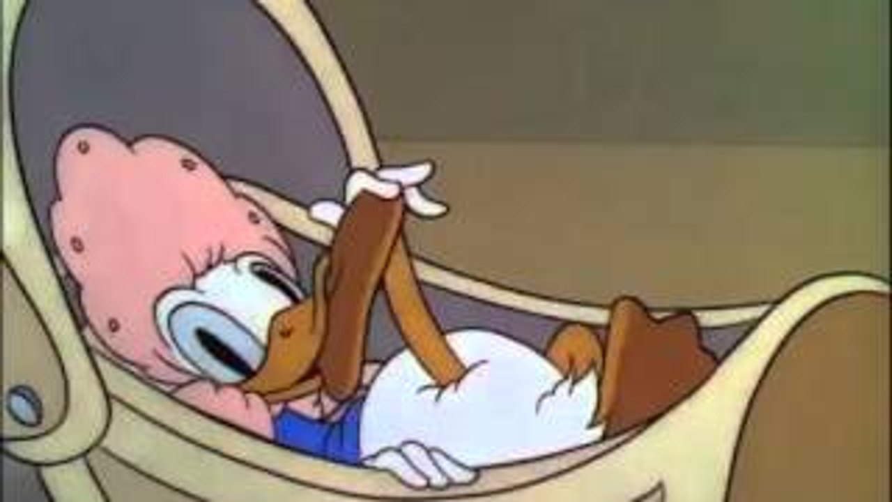 ANIMATION vidéo