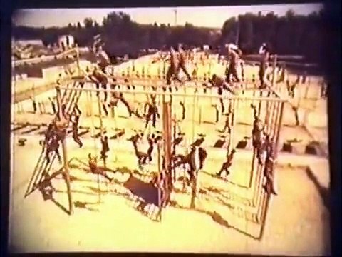 Подготовка спецподразделений МВД СССР(часть 1)