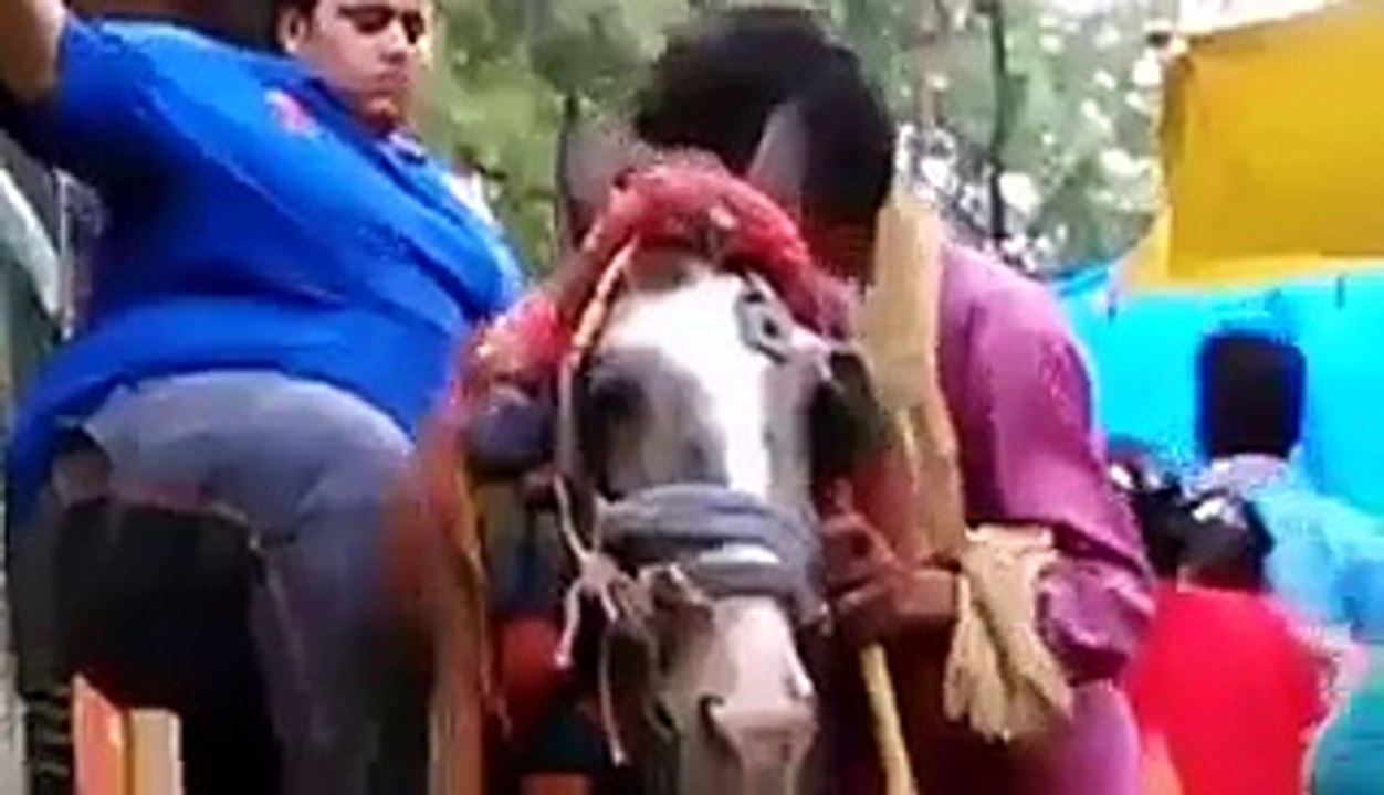 funny fat boy falls from horse ,,hahaha