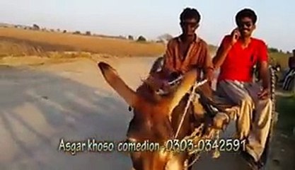 Urban Pakistani Boy Funny Call to his Girl Friend Must Watch and Share