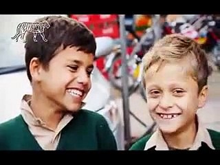 PMLN add and working projects