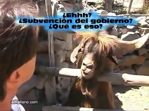 Какой-то козёл обхаркал мужика ржач