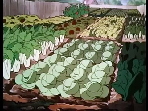 Disneys Crazy Animal Collection 2hrs of Classic Donald, Mickey, Pluto & Goofy!