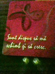 about important principles in life to teach our children, by L. Hey