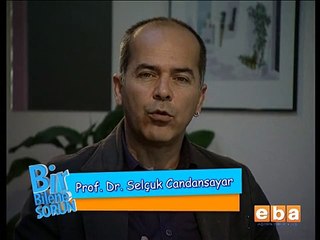 Kimlik Kavramı Nedir