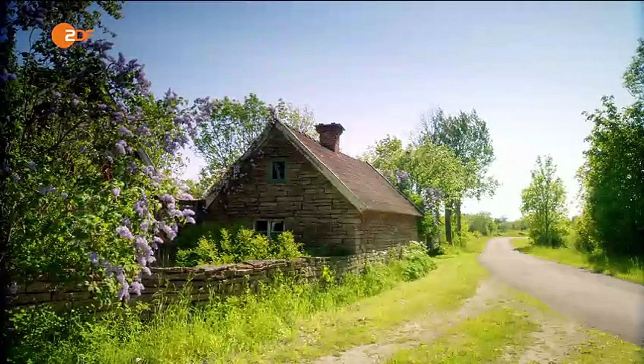 Inga Lindström – Leg dich nicht mit Lilli an (Herzkino 2015)