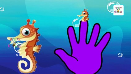 Sea Horse Finger Family Nursery Rhyme for Children