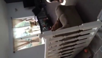 Bu Şaka Kalpten Götürür