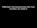 PUMA Kinder Trikot Evospeed Indoor Shirt Puma Red/White 164 701606 01