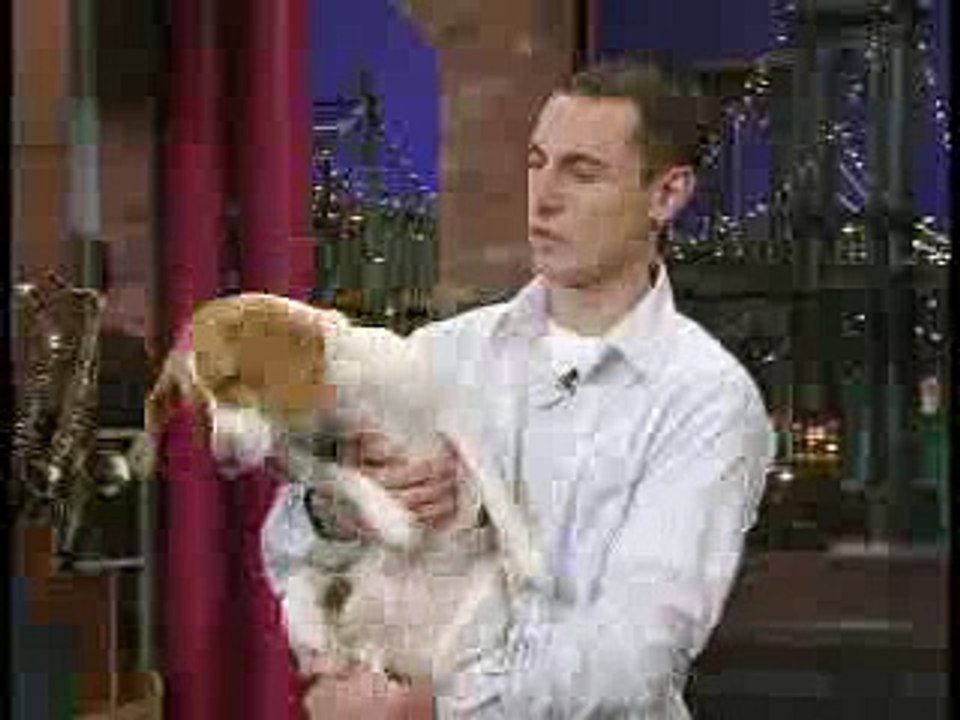 Bailey, play dead!