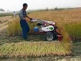 Rice Cutting Machine very easy and amazing video