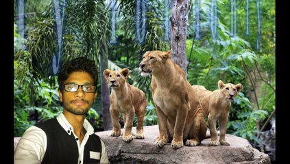 bollywood mashup 2015 haider ali 112233