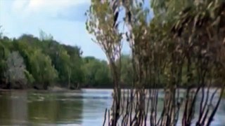 Crocodile Attacks - Animal Documentary National Geographic!!