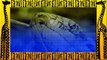 Giant ANACONDA attacks TIGER Animal Fight Python vs Tiger vs Jaguar Real Fight