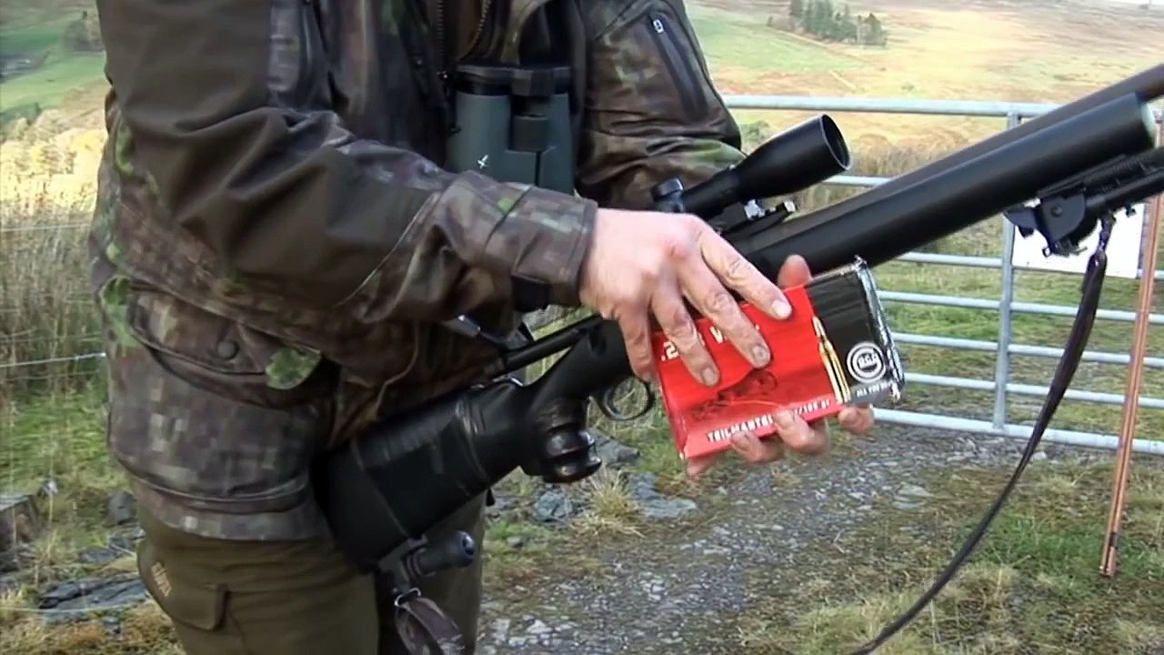 The Shooting Show end of season roebuck and festive foxing