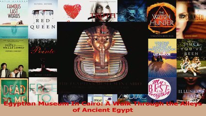 Read  Egyptian Museum In Cairo A Walk Through the Alleys of Ancient Egypt Ebook Free