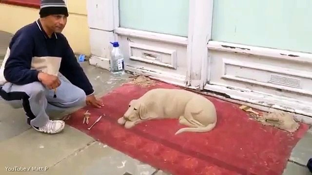 Artists or con artists Sand dogs look suspiciously similar