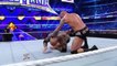 WWE world Heavyweight championship Randy Orton vs Batista vs Daniel Bryan Wrestlemania 30