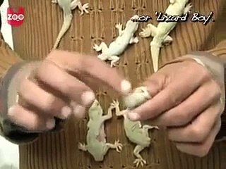 Amazing Video - Must watch top hot best amazing viral funny pranks entertainment songs movies sports news