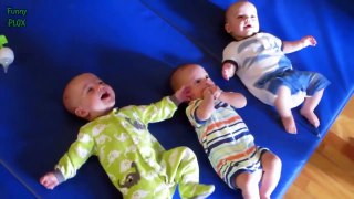 Funny Triplet Babies Laughing Compilation 2014 [NEW HD]- Funny Baby Videos 2014 HD ★TOP Ba