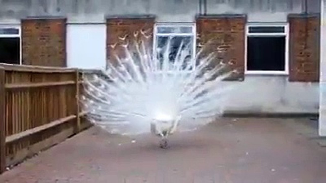 A must watch video How can one deny the gifts of nature