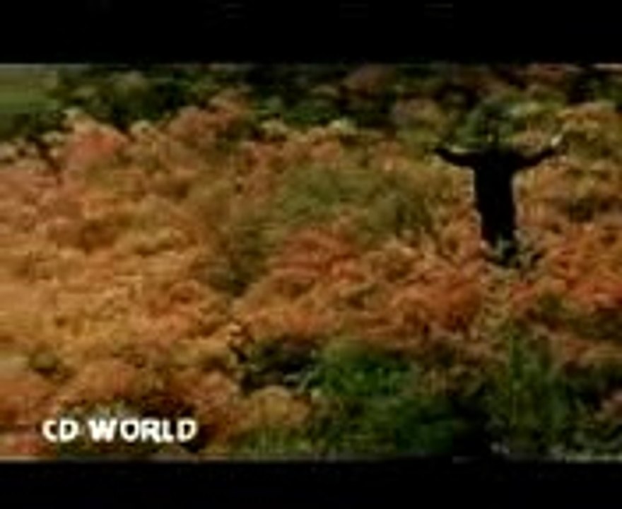 Aa Dil Mera Tu Dewana HAi_mpeg4