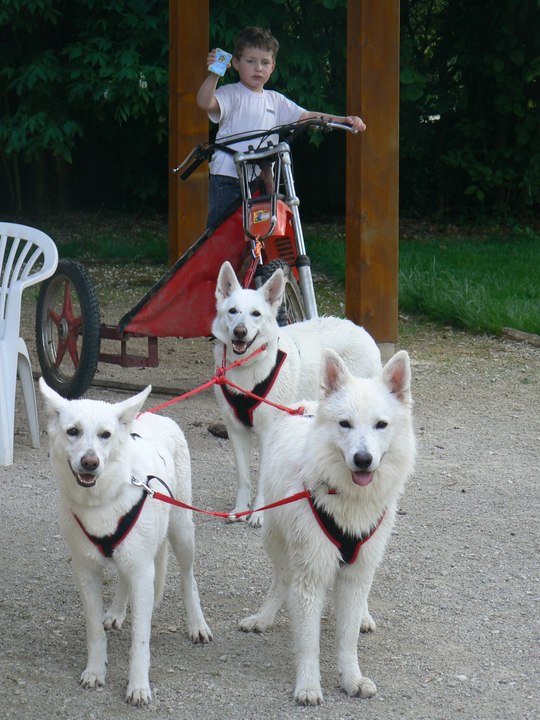 Les filles en balade et entraînement fin 2015