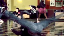 PEOPLE ARE AWESOME 2014 NEW!!! Parkour, Tricking, Break Dance, Skate.. SLOW MOTION