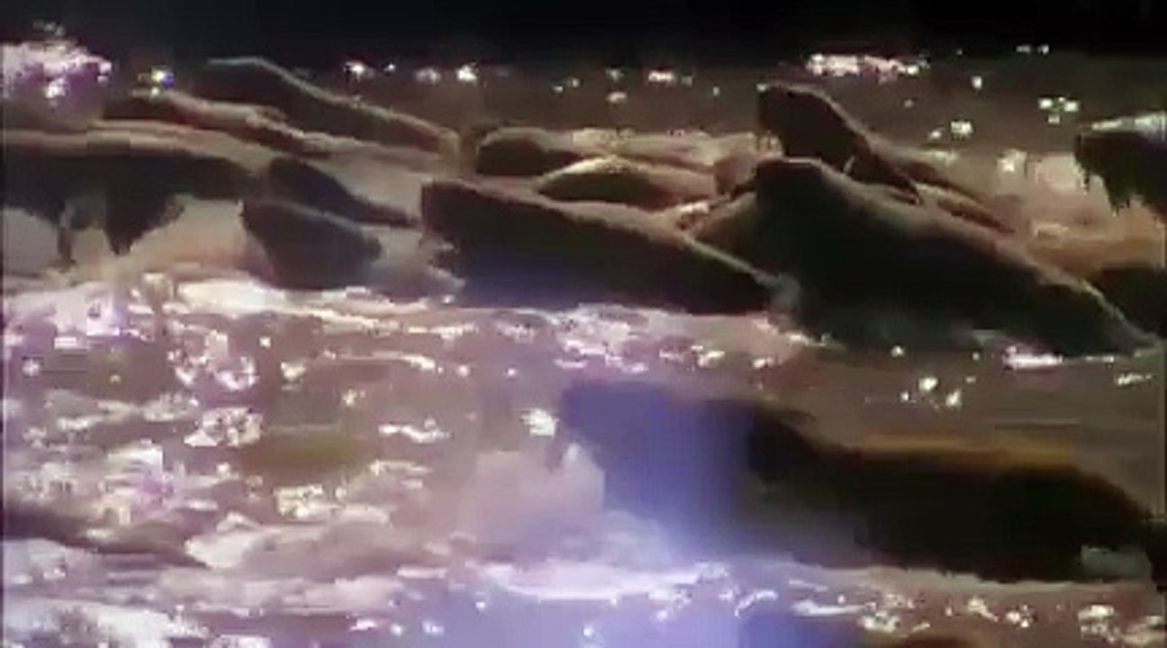 Wonderful nature_clip24
