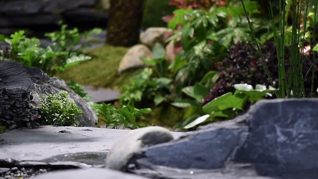 Arbres & Paysages Cestas - Salon Vivons Maison 2015 à Bordeaux