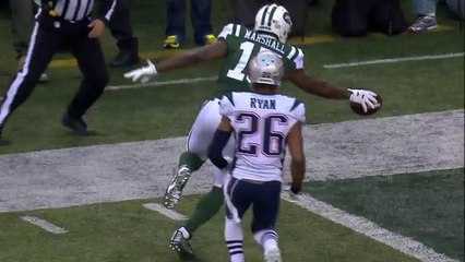 Ryan Fitzpatrick to Brandon Marshall for 2-yard TD