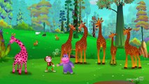Finger Family Giraffe | ChuChu TV Animal Finger Family Nursery Rhymes Songs For Children