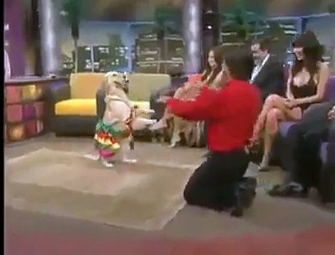 VID-20151028-WA0000.mp4