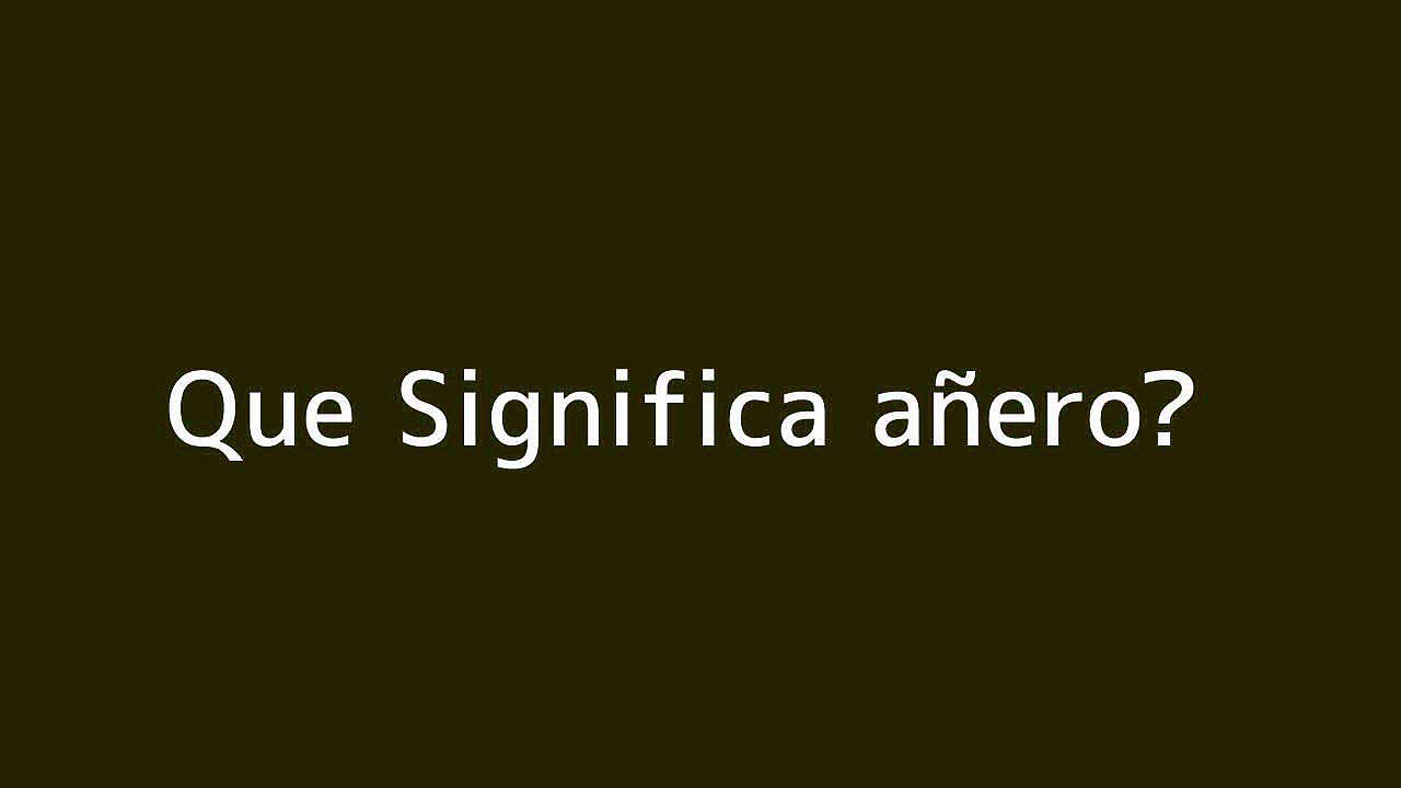 Que significa an??ero