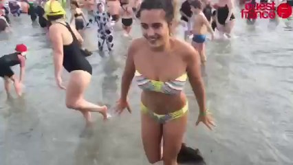 900 Otaries rugissent de bonheur