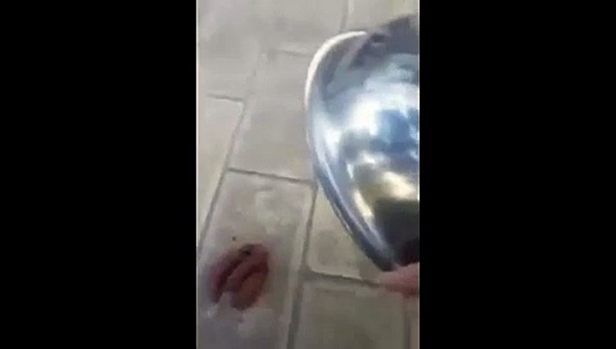 funny quick-i-caught-one-give-me-a-hand