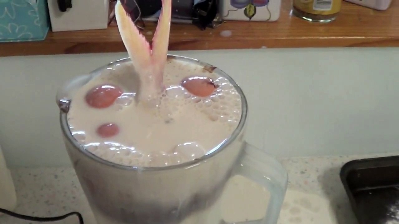 How to Make Fudgy Brownies - Recipe by Laura Vitale - Laura in the Kitchen Episode 111