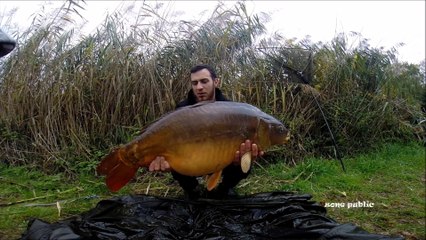 Peche à la carpe (mon année 2015)